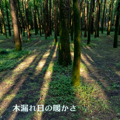 アルバム/木漏れ日の暖かさ/小森弘
