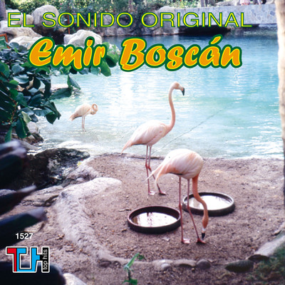 シングル/Ya No Tengo Fe/Emir Boscan y los Tomasinos