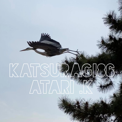 アルバム/katsuragi86/Atari.K