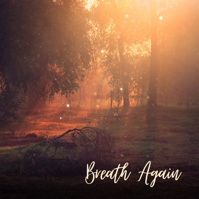 Breath Again(Acoustic)/Meyer