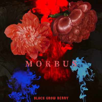 シングル/MORBUS/BLACK GROW BERRY