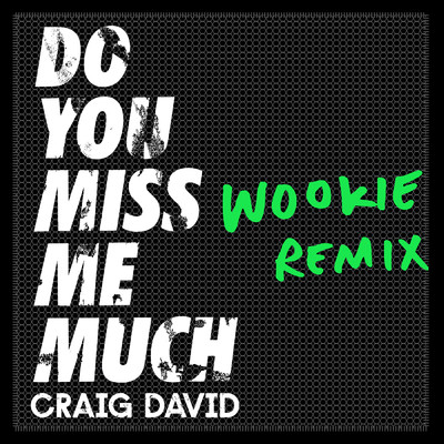 シングル/Do You Miss Me Much (Wookie Remix)/Craig David