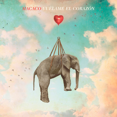 アルバム/Vuelame el Corazon/Macaco