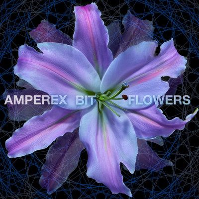 アルバム/Bit Flowers/AMPEREX