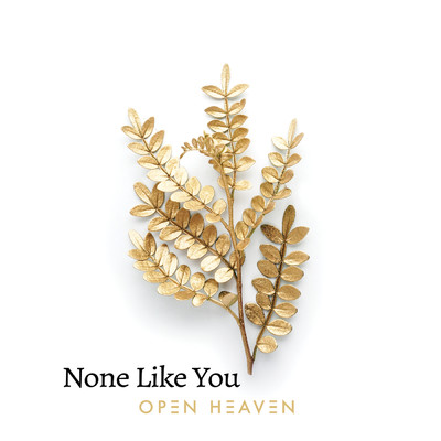 シングル/None Like You (Live)/Open Heaven