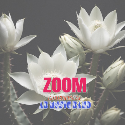 Zoom (Instrumental)/AB Music Band