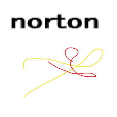 norton/岡柴