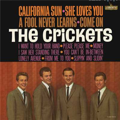 California Sun - She Loves You/ザ・クリケッツ