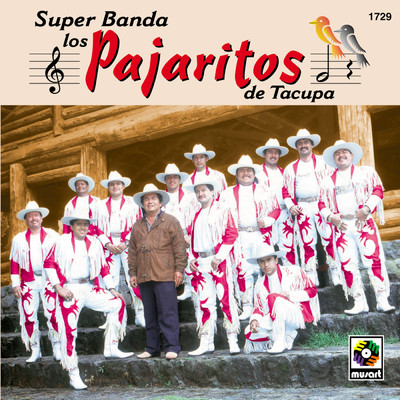 アルバム/Super Banda Los Pajaritos De Tacupa/Los Pajaritos de Tacupa
