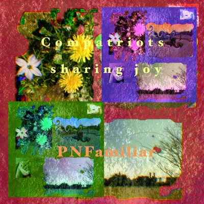 アルバム/Compatriots sharing joy/PNFamiliar