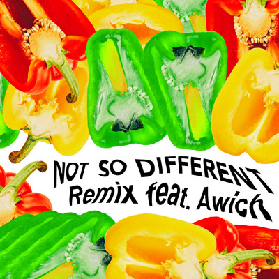 シングル/Not So Different (featuring Awich／Remix)/AI