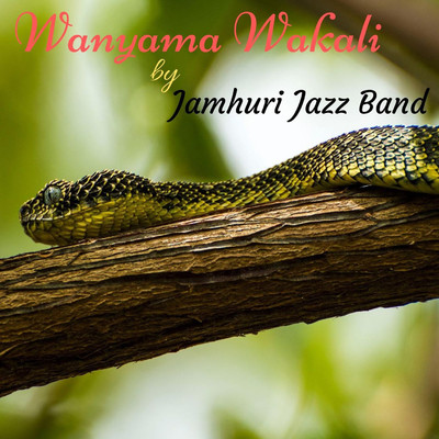 Nimezoea kufiwa/Jamhuri Jazz Band