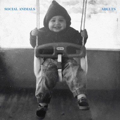 Adults/Social Animals