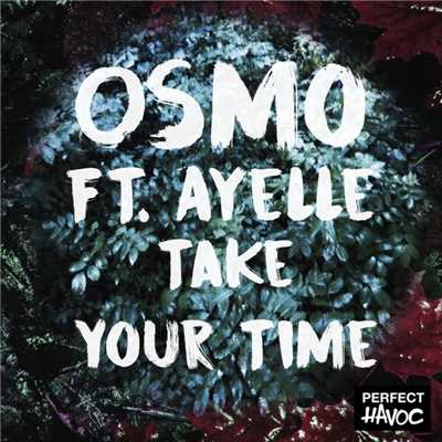 Take Your Time (feat. Ayelle)/Osmo