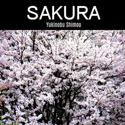 シングル/SAKURA/Yukinobu Shimoo