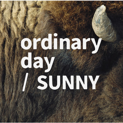 ハイレゾアルバム/ordinary day／SUNNY/tacica