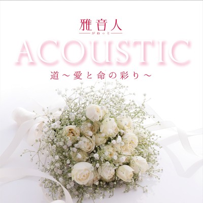 アルバム/ACOUSTIC 道 〜愛と命の彩り〜/雅音人