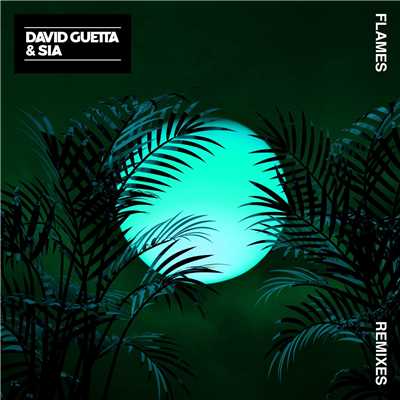 Flames (David Guetta Remix)/David Guetta & Sia
