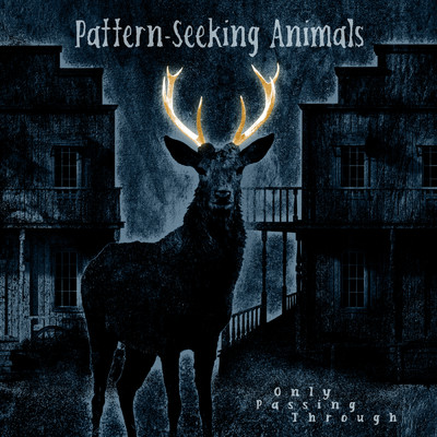 I Can't Stay Here Anymore/Pattern-Seeking Animals