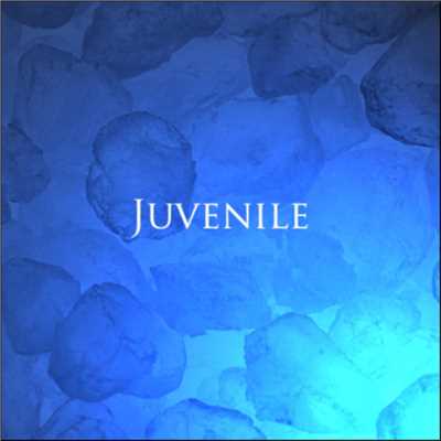 アルバム/Juvenile/Takahisa Ueda