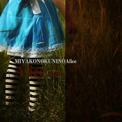 アルバム/Alice in,/都の国のアリス