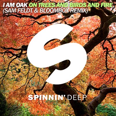 On Trees And Birds And Fire (Sam Feldt & Bloombox Remix)/I Am Oak