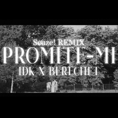 Promite-mi (Explicit) (Remix)/Scuze！／IDK／Berechet