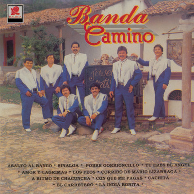 Corrido De Mario Lizarraga/Banda Camino