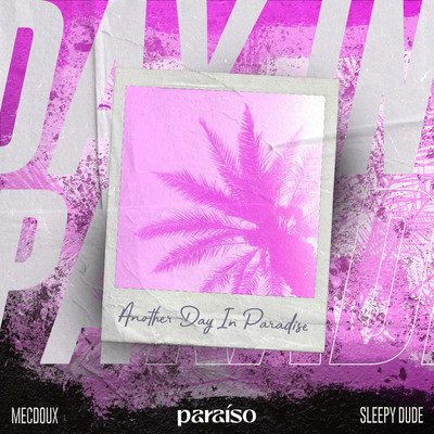 Another Day In Paradise/Mecdoux & sleepy dude