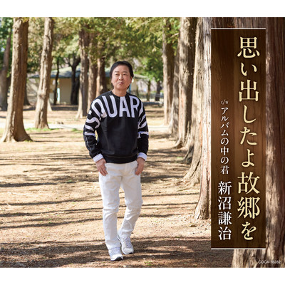 シングル/アルバムの中の君/新沼謙治