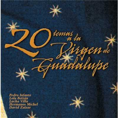 20 Temas en homenaje a la virgen de Guadalupe - USA/Various Artists