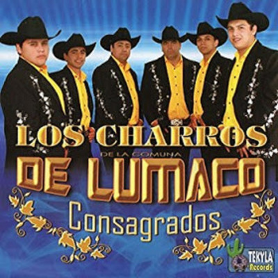 シングル/Vida de mi vida/Los Charros de Luchito y Rafael