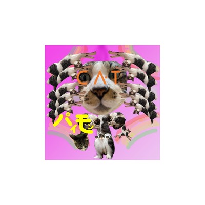 アルバム/CAT/4Pai9mon6