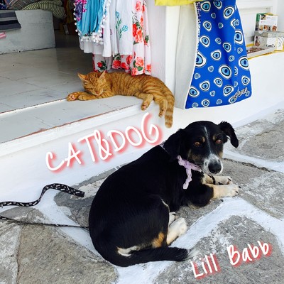 シングル/CAT&DOG/Lill Babb