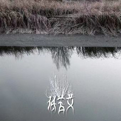 Zhang Kai Bing Leng De Shuang Bi Tiao Yue/Di Ku Ai Yue Dui