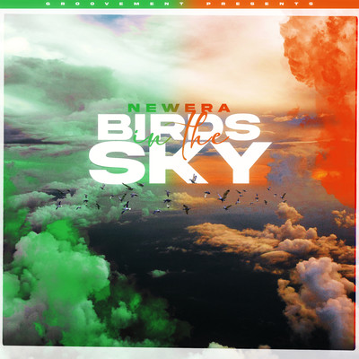 Birds In The Sky (Irish Remix Pack)/NewEra