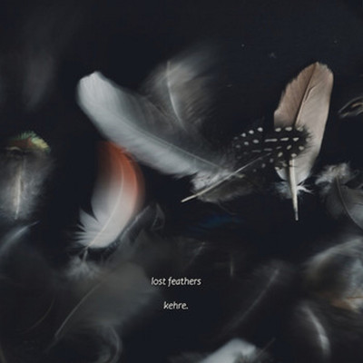 lost feathers/kehre.