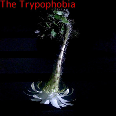 The Trypophobia(バトル用 8×3)/Triskaidekaphobian