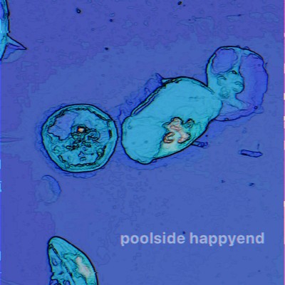 poolside happyend/bibian lab