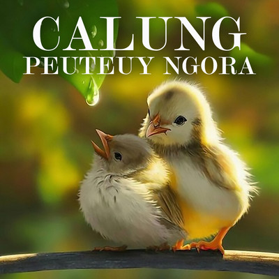 アルバム/Calung Peuteuy Ngora/Darso