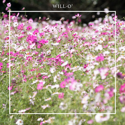 WILL-O'