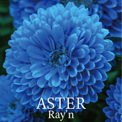 ASTER/Ray'n