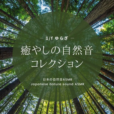 雨の日の森にて/日本の自然音ASMR