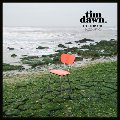 Fell For You (Acoustic)/Tim Dawn