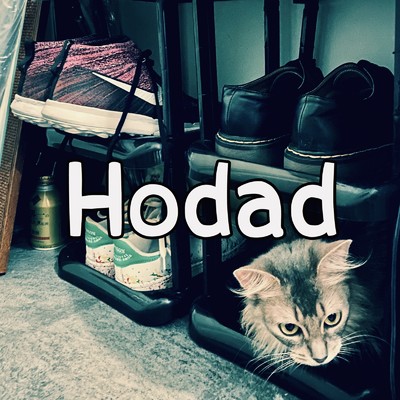 Hodad/Yoshiki