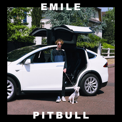 シングル/Pitbull/EMILE