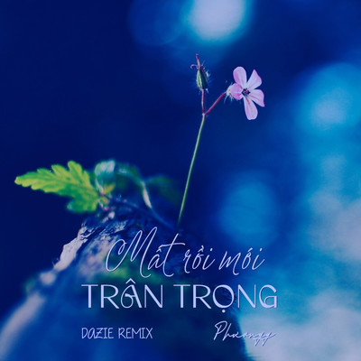 シングル/Mat Roi Moi Tran Trong (Dazie Remix)/Phuongg