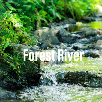 Small River Waterfall/Nature Field Sounds