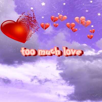 アルバム/too much love/sou