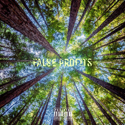 False Profits (feat. Lefa)/Soulsiiide
